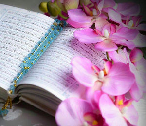 حدیث روز